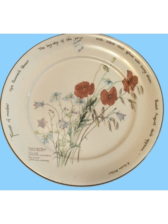 Noritake Other - Noritake of Ireland Country Diary of An Edwardian